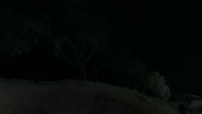 I was certain that was the place. - Westworld