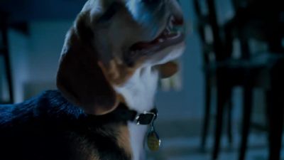 I changed my mind Call me the Claw of Ling Chow - Cats &amp; Dogs