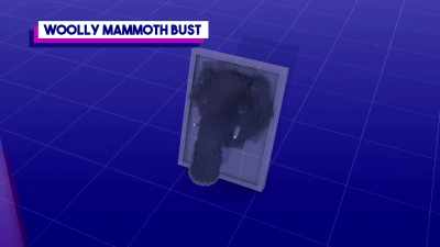 I chose a woolly mammoth - Craftopia