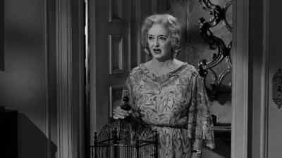 I was cleaning the cage. - What Ever Happened to Baby Jane?