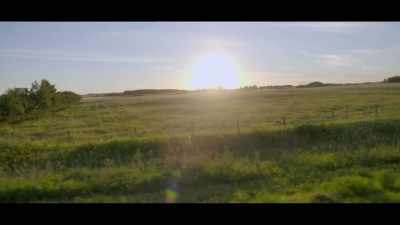 I consider myself a descendant
of all those communities, - Black Life: Untold Stories
