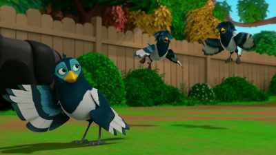 I could definitely use a trim-- - The Chicken Squad