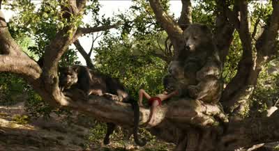 I could get used to this - The Jungle Book