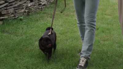 I could get used
to hearing that. - The Dog Lover's Guide to Dating