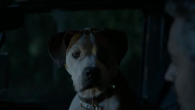 "I could have fixed him." - Big Sky