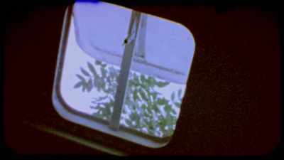 I could look up - Abducted in Plain Sight