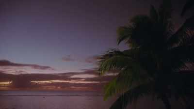- # I could never lose you,
lose you. - FBOY Island NZ
