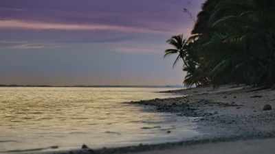 # I could never lose you. # - FBOY Island NZ