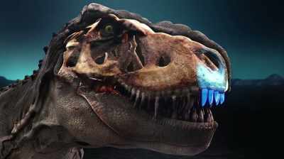 I COULD SEE RIGHT AWAY
THAT THE TOOTH LUKE FOUND - Dino Hunters