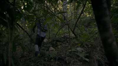 I could spend hours
exploring here, - Lost Treasures of the Maya