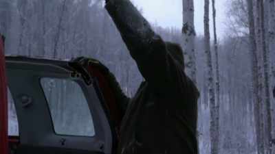 I could stack
firewood way up here, - Life Below Zero: Next Generation