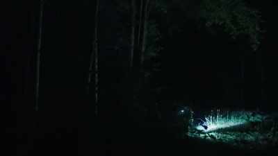  I could tell right away
 that this forest felt
 much different - Expedition Bigfoot