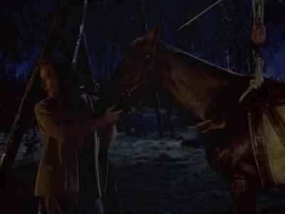 I couldn´t do it. - My Friend Flicka