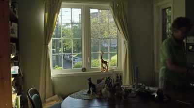 I couldn't
afford to go to Africa - The Woman Who Loves Giraffes