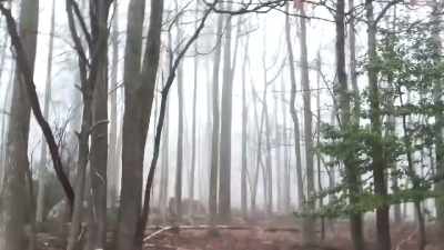 I couldn't find any more information - The Fear Footage