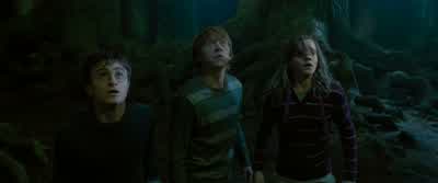 I couldn't just leave him, because... - Harry Potter and the Order of the Phoenix