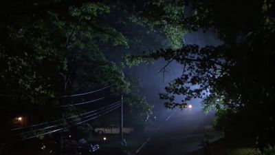 I couldn't say - That Night