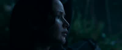 I counted 12. - The Hunger Games: Catching Fire