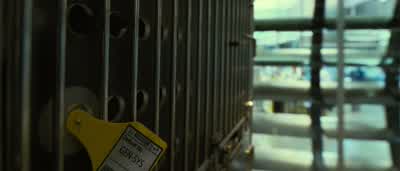 I counted ten apes, correct? - Rise of the Planet of the Apes