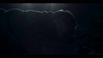 I crawled, - Bad Blood