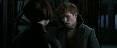 -I cut a picture of you... - Fantastic Beasts: The Crimes of Grindelwald