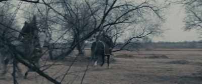 I cut open, I cut through the loins... - The Legend of Tomiris