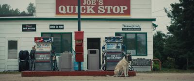 Day after day passed,
but no CJ. - A Dog's Journey