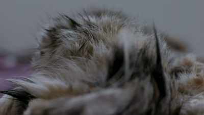 I decided I'm going to
try and teach myself, - Life Below Zero: Next Generation