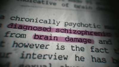 I diagnosed schizophrenia
with brain damage - Crazy, Not Insane