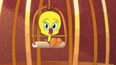 I did, I did taw a puddy tat! - King Tweety
