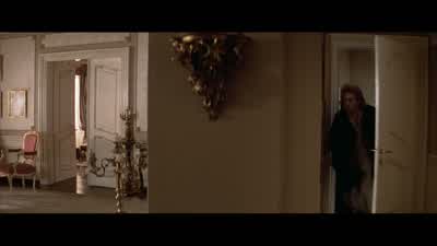I did it. - Amadeus
