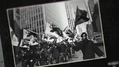 I did join the Panther party, - Women Who Rock