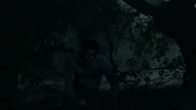 Did you know that a caged, rabid dog will break its own teeth trying to chew through the bars? - Teen Wolf