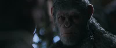 I did not start this war. - War for the Planet of the Apes