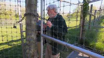 I did see some ear twitching
but, other than that, - Secrets of the Zoo