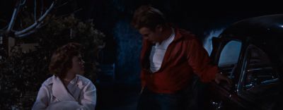 I didn't chicken You saw where I jumped - Rebel Without a Cause