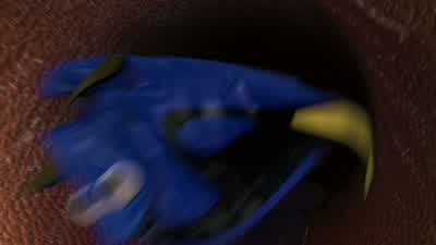 No I didn't come this far to be breakfast - Finding Nemo