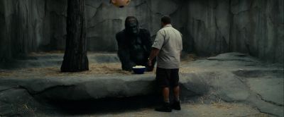 I didn't do it you know - Zookeeper