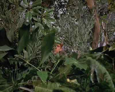 I didn't forget you, boy. - Land of the Giants