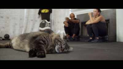 I didn't go in there for that, - Cat Daddies