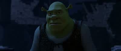I didn't know what I had. - Shrek Forever After