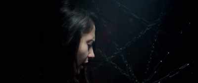 I didn't mean to
invade your privacy. - Suicide Club