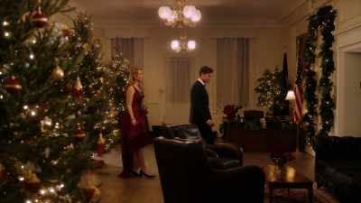 I didn't send the pictures, - Match Made in Mistletoe