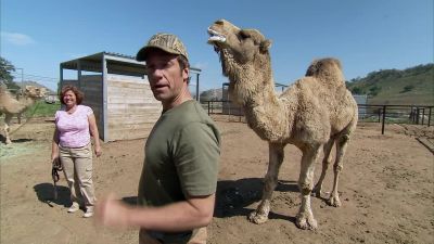 I DIDN'T THINK SO. - Dirty Jobs