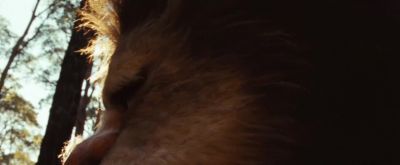 I didn't want to wake you up but I really want to show you something - Where the Wild Things Are