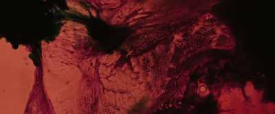 I was digesting
myself, on the inside. - After Death