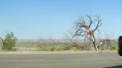 I do feel like if I found
something like this, - Jack Osbourne's Night of Terror: UFOs