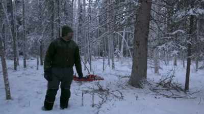 I do know that it's one
of the biggest trees here. - Life Below Zero: Next Generation