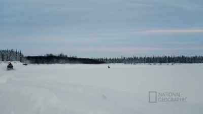 I do not ever want to make
a mistake and shoot a cow. - Life Below Zero: First Alaskans