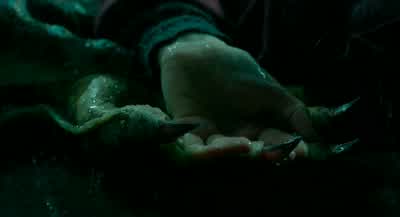 I do not fail. - The Shape of Water